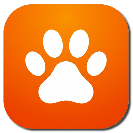 🐱 كيتي كونكت الذكي icon
